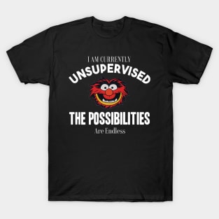 I am currently unsupervised I know it freaks me out too but possibilities are endless T-Shirt